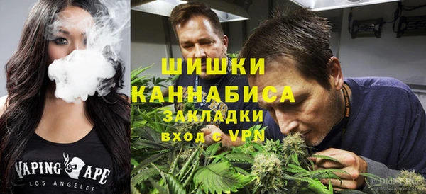 крисы Абаза