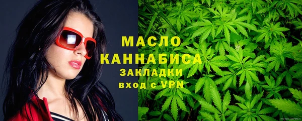 крисы Абаза
