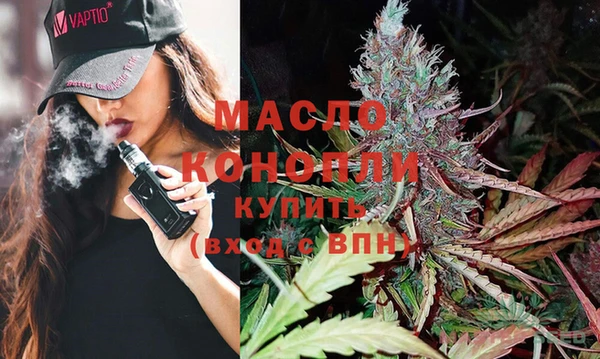 крисы Абаза