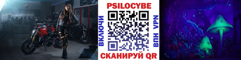 Псилоцибиновые грибы MAGIC MUSHROOMS  Пудож 