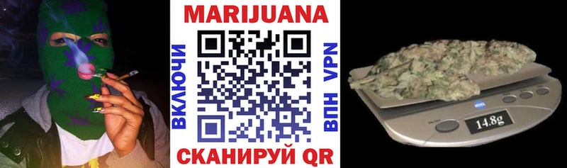 omg сайт  Пудож  Шишки марихуана сатива 